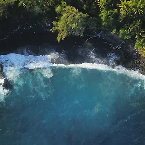 The Dolphin At , Kehena United States